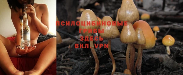 mdma Горнозаводск