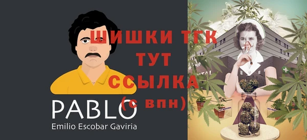 гидропоника Горно-Алтайск