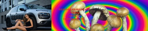 mdma Горнозаводск