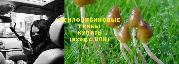 mdma Горнозаводск