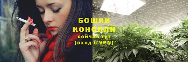 гидропоника Горно-Алтайск