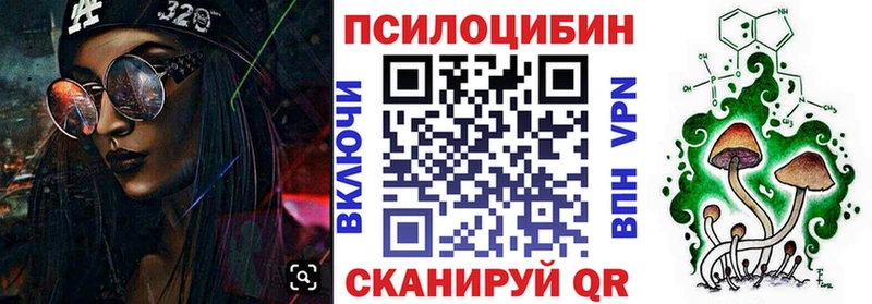 Псилоцибиновые грибы Cubensis  Кудымкар 